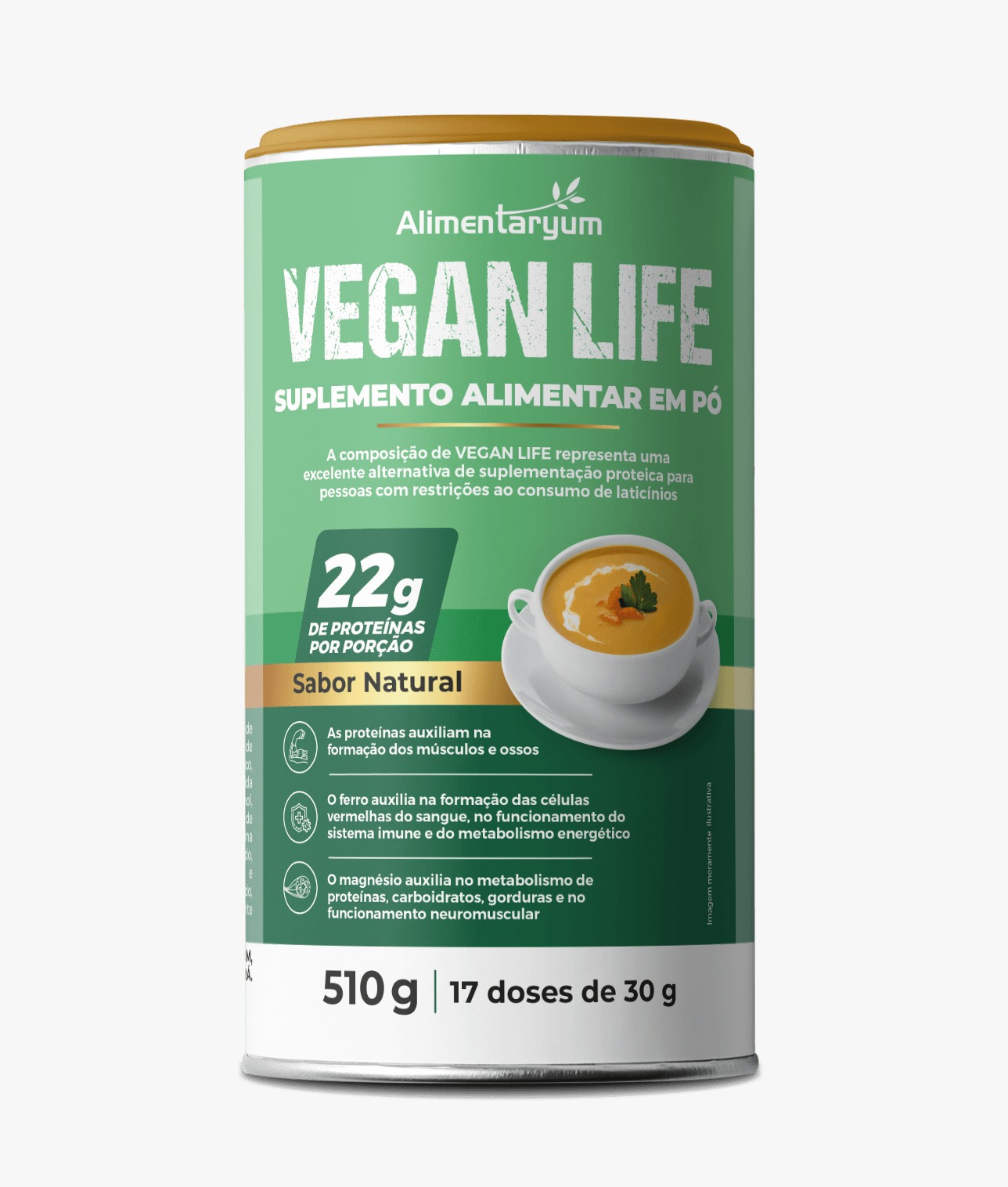 Vegan Life Natural – Proteína Vegetal 450g